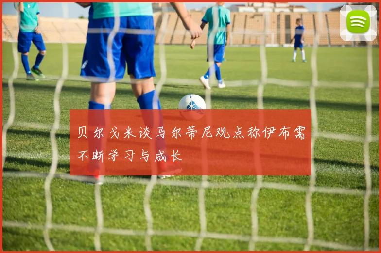 贝尔戈米谈马尔蒂尼观点称伊布需不断学习与成长